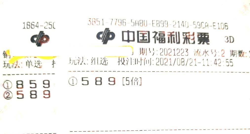 状元红42089期开奖结果查询，揭秘幸运的瞬间与理性投注的重要性