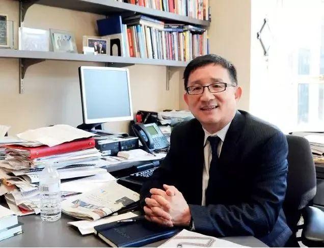 探索新奥天天开,内部资料揭秘与价值解析新澳天天彩资料大全最新版本