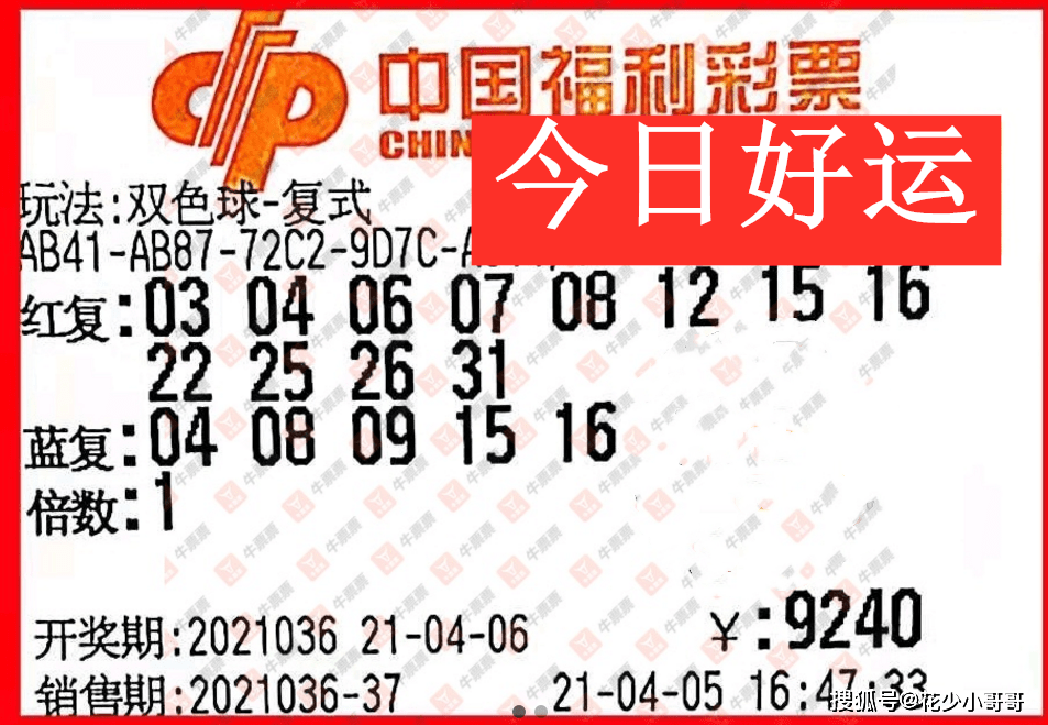 探索双色球第48期的神秘色彩，数字与运气的交响曲
