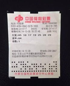 山东体彩论坛1750，探索彩票文化的深度与广度