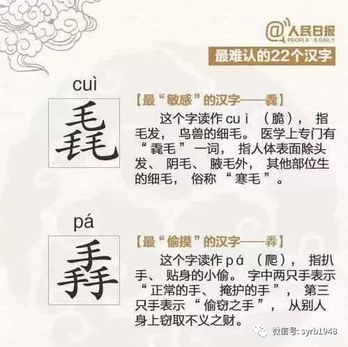 探索天宇，多字迷、和值与字的奥秘
