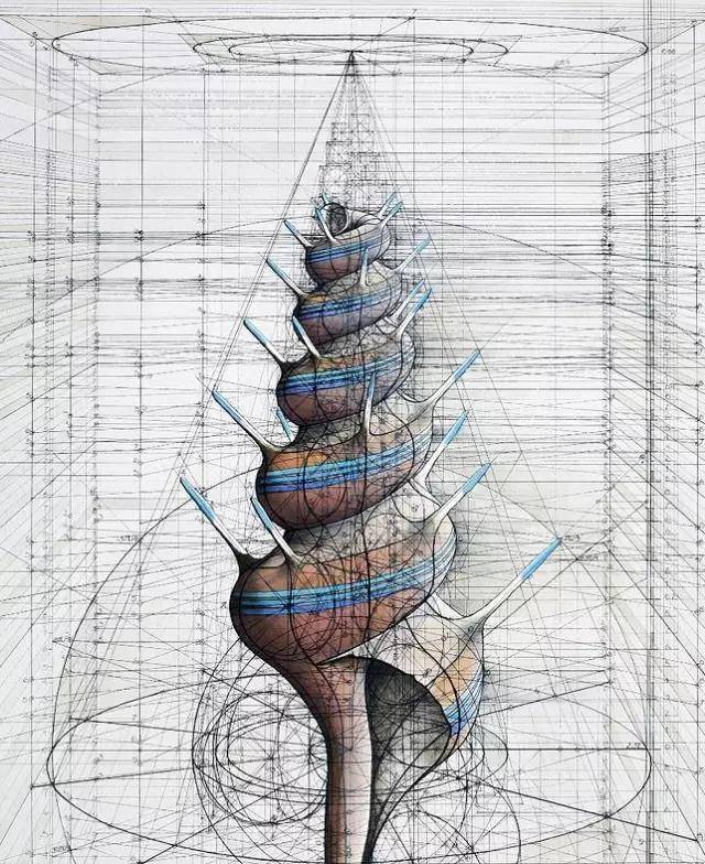 牛彩网3D图谜，探索数字与艺术的奇妙融合