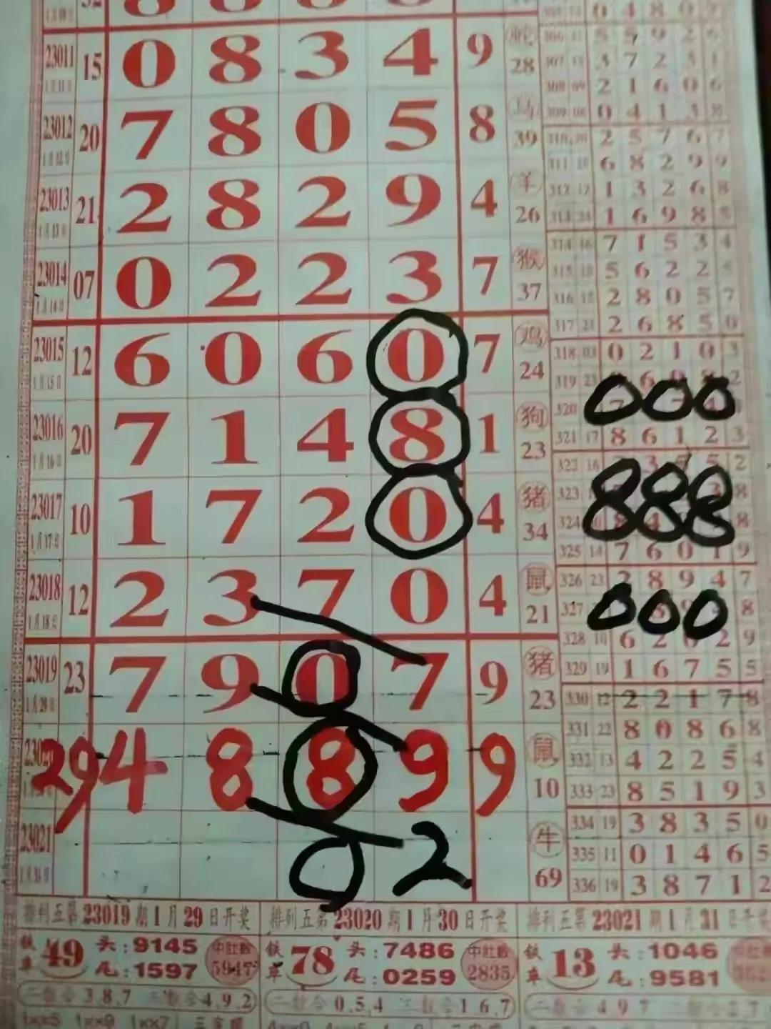 31选7走势图，揭秘体育彩票的数字游戏与心理博弈