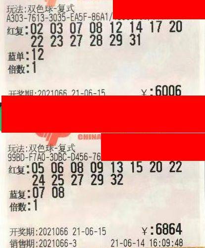 揭秘香港最准一肖中特，公开选料12345的背后真相香港最准一肖中特公开选料1准确 192.168.0.1