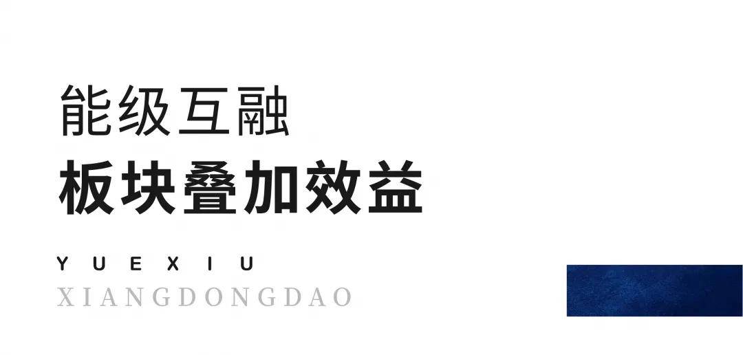 探索新奥天天开，内部资料揭秘与价值解析
