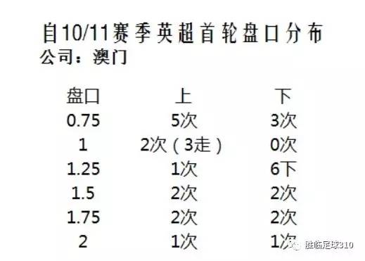 澳门开奖结果，2013年至今的回顾与展望