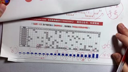 2041年马会正版香港资料大全，探索赛马的魅力与智慧投注的奥秘马会正版香港资料大全一小