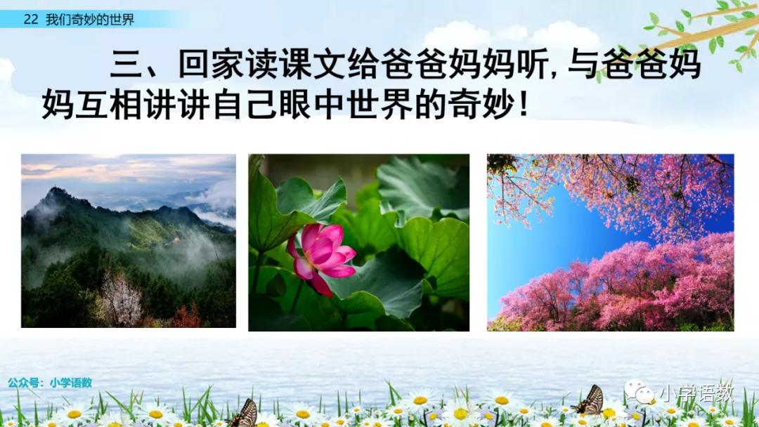 图文资讯，探索天空彩天下的奇妙世界