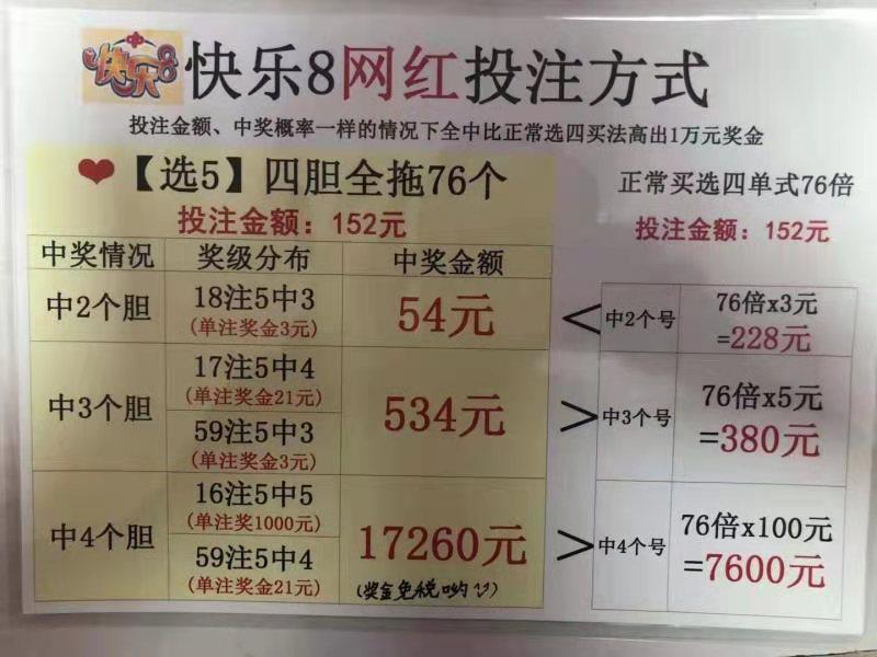 胆拖复式计算器的奥秘与实用指南