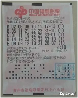 2019年双色球第3期，开奖号码揭晓与彩民心声