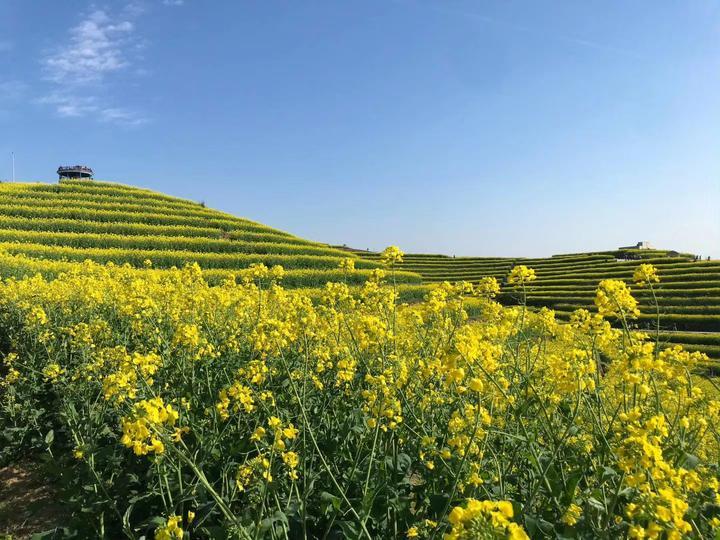 360直播吧，手机版足球直播的全新体验