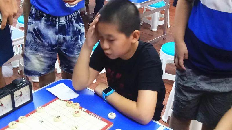 浙江风采网走势图2双色球，揭秘彩票背后的数字奥秘