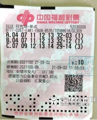 澳门特马资料图59期，2048年未来展望与历史传承的交汇2021年澳门第147期马会资料