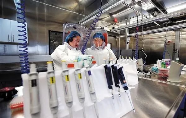 探索生物安全新领域，P3实验室的奥秘与挑战