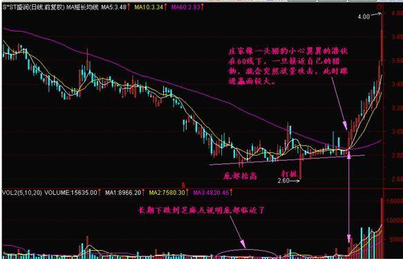 短线黑马股，捕捉市场瞬息的猎豹