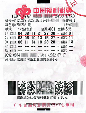 福利彩票双色球2013期，梦想与现实的交织