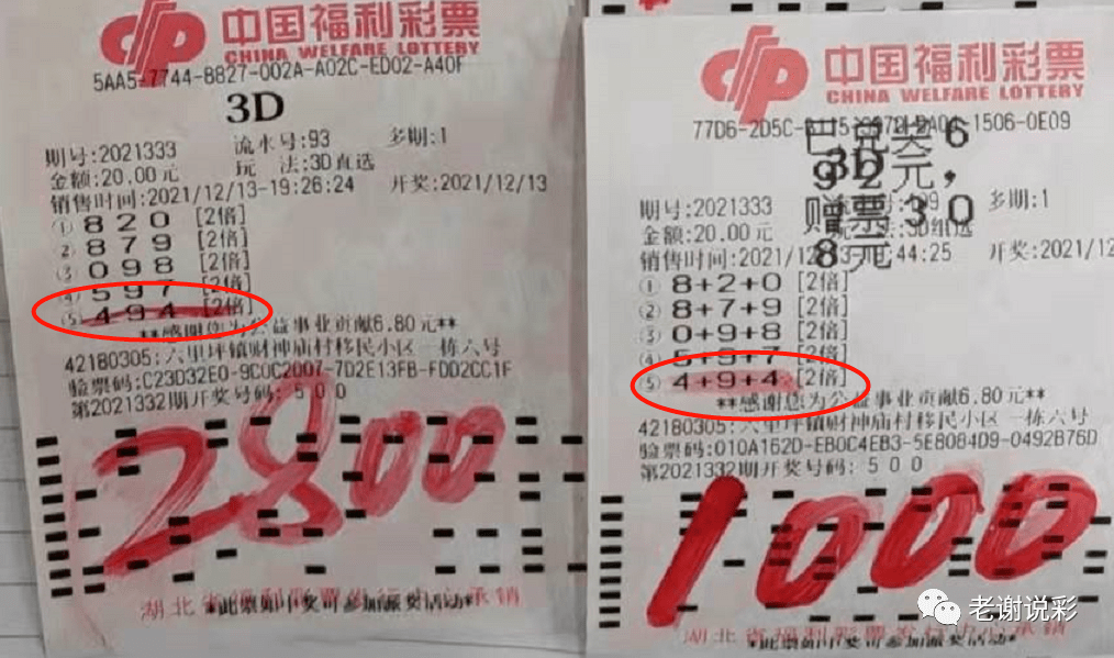 探索中彩网3D开奖的奥秘，开机号与试机号的秘密