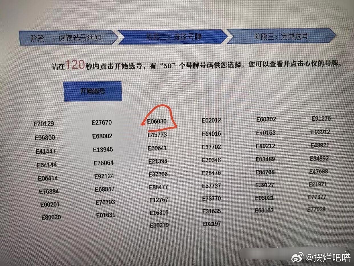 网上自动选号，便捷、高效与个性化的车牌号码选择新体验