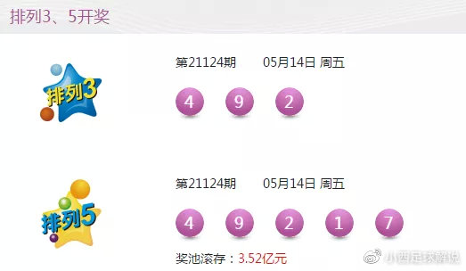 123期开奖结果查询，揭秘彩票背后的数字游戏