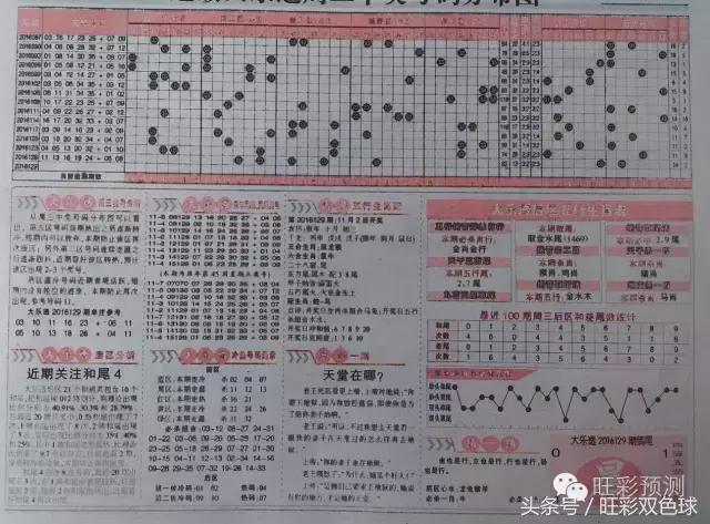 彩搜网，专业彩票独胆王的智慧之选