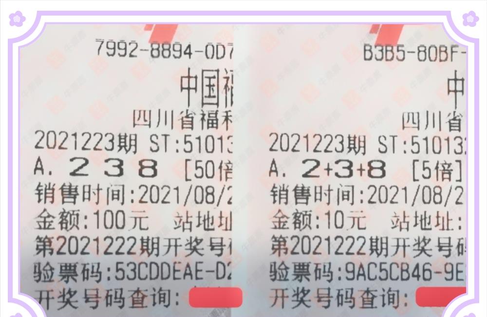 2048，揭秘排列三第19期开奖结果与彩民心声