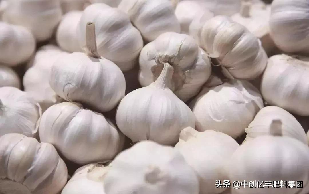 云南10选5走势图，量原o的数字奥秘与预测艺术