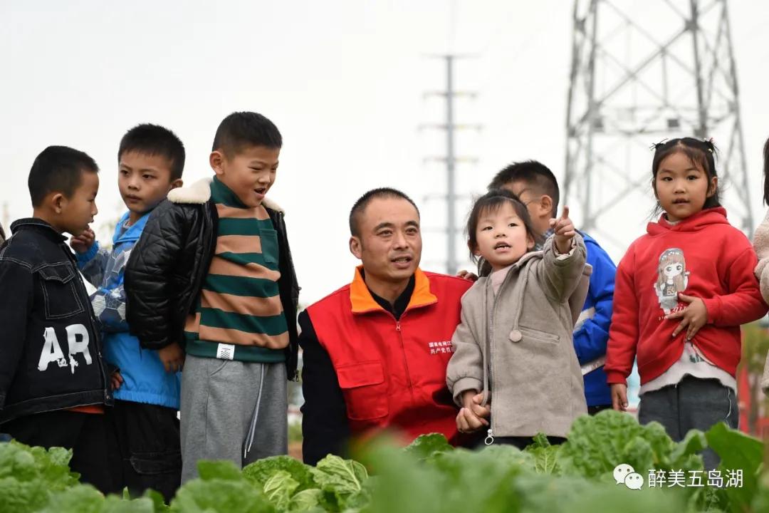 智慧小菜园，1-3岁儿童蔬菜谜语大冒险