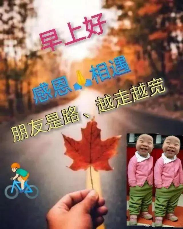 探索视觉盛宴，123图库APP下载指南
