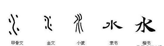 揭秘香港今晚六给彩开奖结果，理性看待彩票与娱乐的平衡香港今晚六给彩开奖结果网址