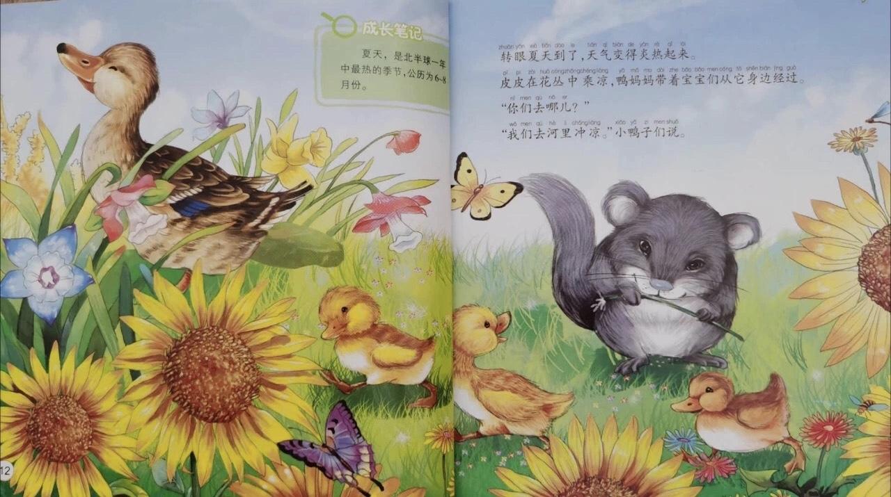 探索语言奥秘，中文词汇是什么意思与发音解析