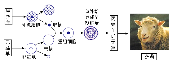 领导介绍 第132页