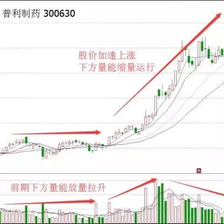 十五选五第四位走势图，数字背后的奥秘与趋势分析