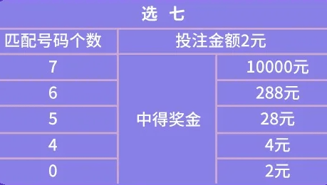 胆拖投注，揭秘4个号码为‘中奖’的灵魂