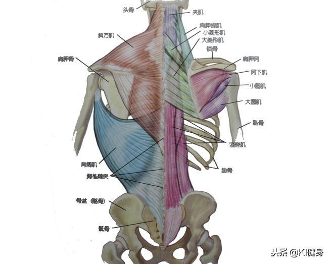 3D号码综合分布图，解锁彩票游戏的数字奥秘