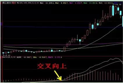 探索正版免费资料大全的管家婆—解锁知识宝藏的新篇章2021管家免费资料期期准