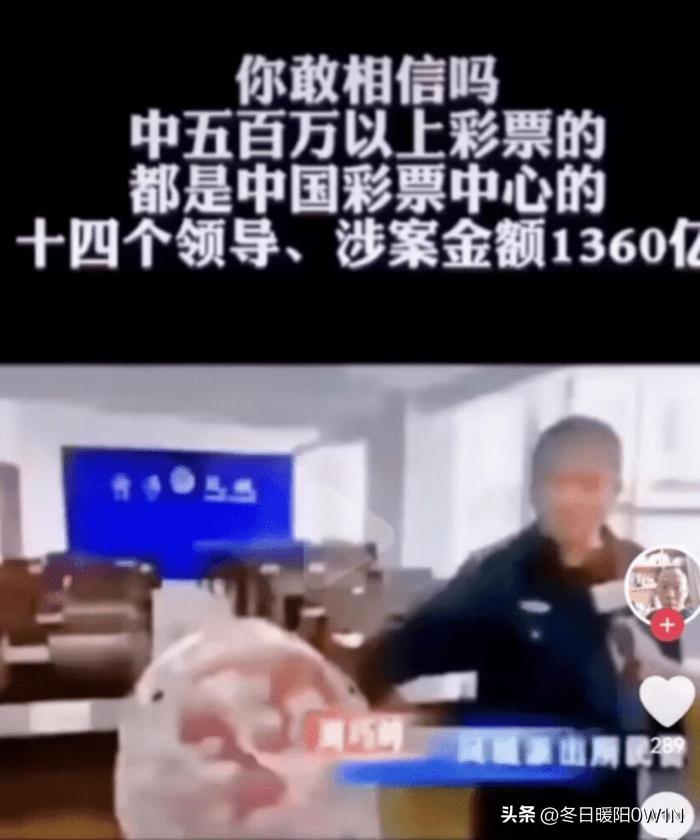 福建体彩资料，揭秘背后的故事与影响