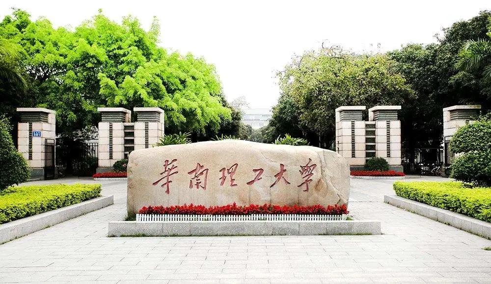 探索广东十一选五的奇妙世界，揭秘5码分布策略