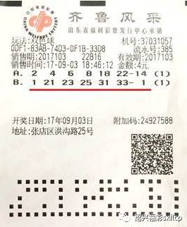 解析彩票双色球开奖结果，从数字到策略的全面指南
