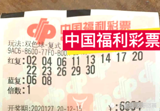 梦想与现实的交汇