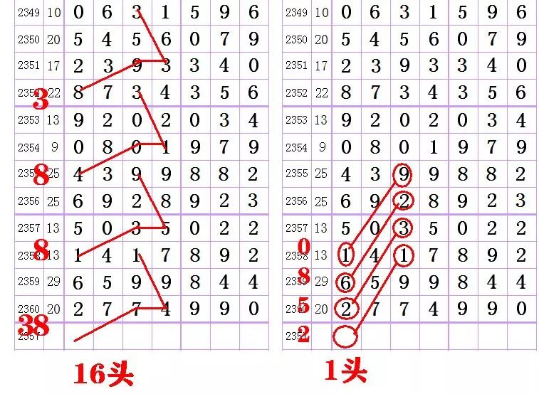 七星彩特区论坛，探索数字背后的奥秘与乐趣