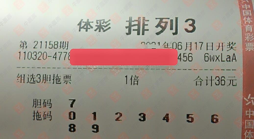 浙江省体彩13选5开奖结果揭秘，幸运与希望的交汇