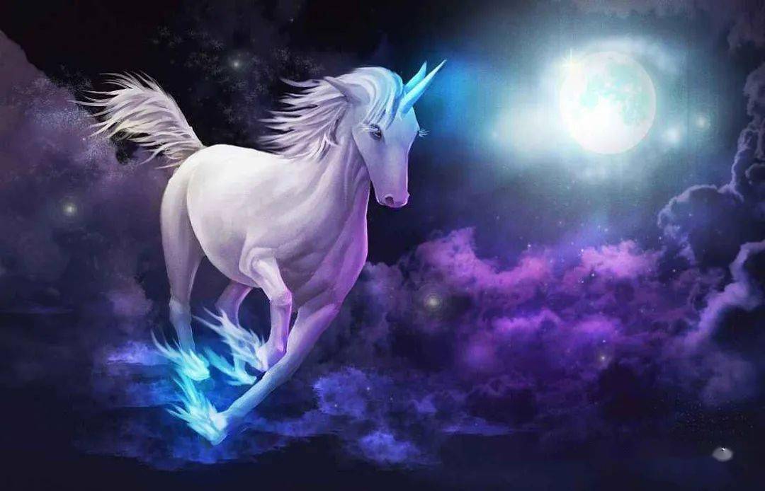 澳门王中王的神秘传说，10%的奇迹与953个字的故事澳门王中王100%期期准确五粮液有哪几种粮食