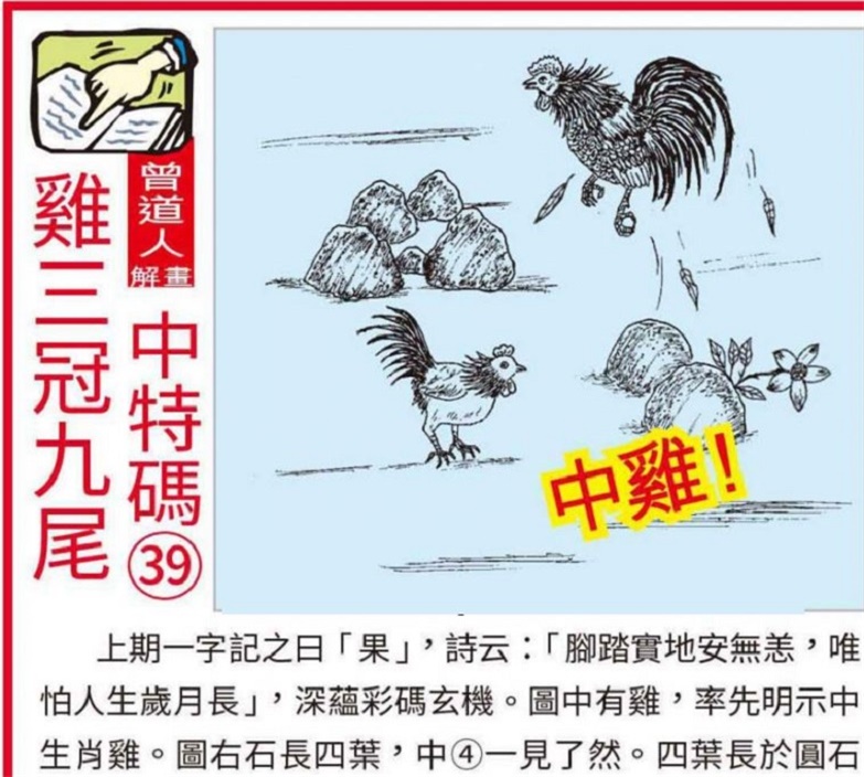 2035年展望，奥马品牌的未来之路——创新、可持续与智能并进2020年澳门正版马会精选资料大全奥