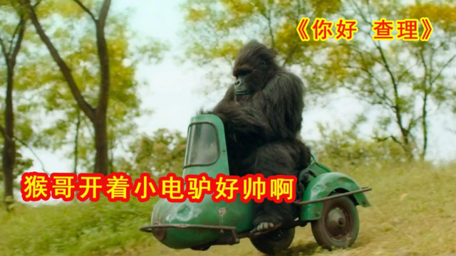 2035年香港正版挂牌，重塑游戏规则的里程碑香港正版挂牌全篇之完整篇2019