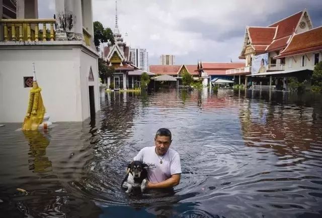 泰国洪水，自然之力下的挑战与应对泰国 洪水 橡胶