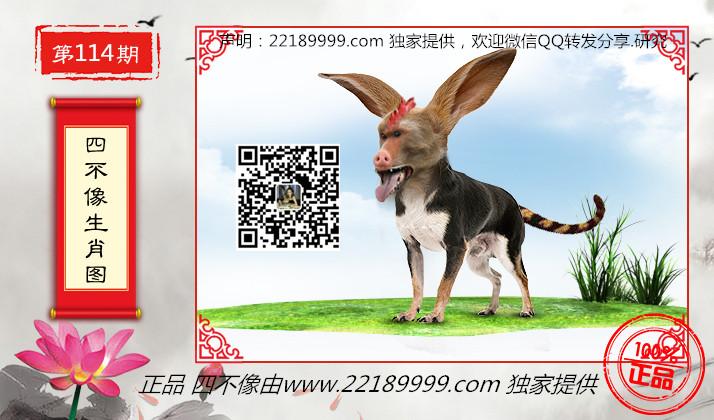 今晚必中四不像图，神秘与幸运的交汇今晚必中四不像图片2019四不像41期