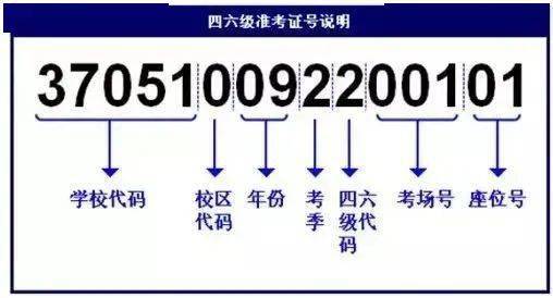 2043年新澳门开奖号码，数字背后的幸运与期待2024年新澳门开奖号码如何查询