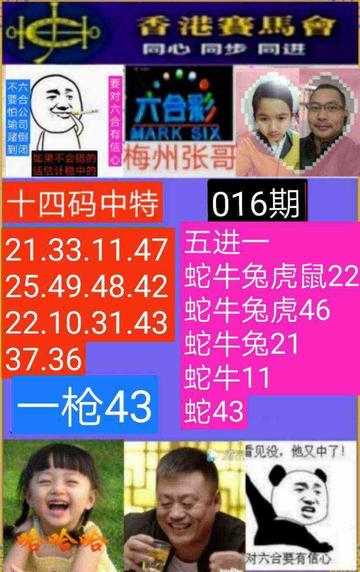 智多星心水论坛，智慧与机遇的交汇点智多星必发心水