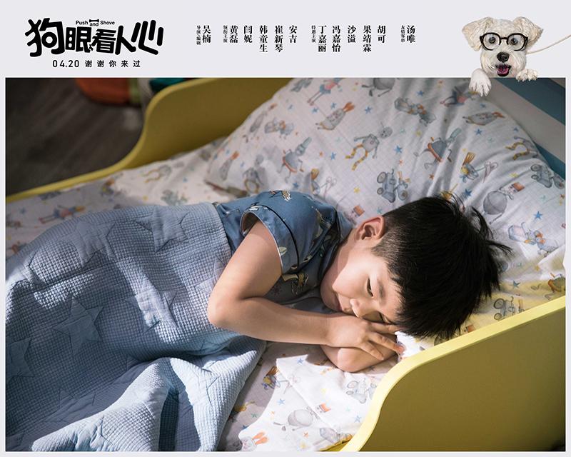 藏獒论坛，爱犬人士的交流圣地与文化传承平台藏獒官网