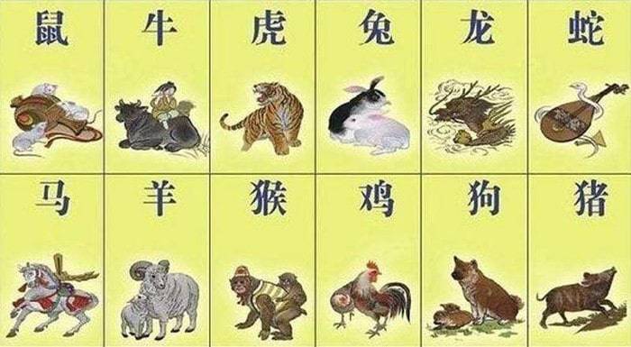 2019年生肖号码波色表图，揭秘中国传统文化与现代娱乐的奇妙融合2020生肖号码波色表图金木水火土